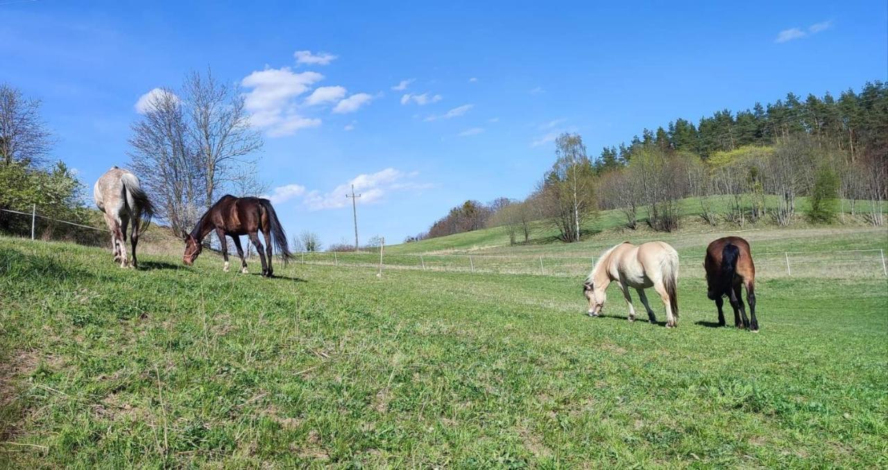 Domek Zielenina Mierzeszyn Exteriér fotografie