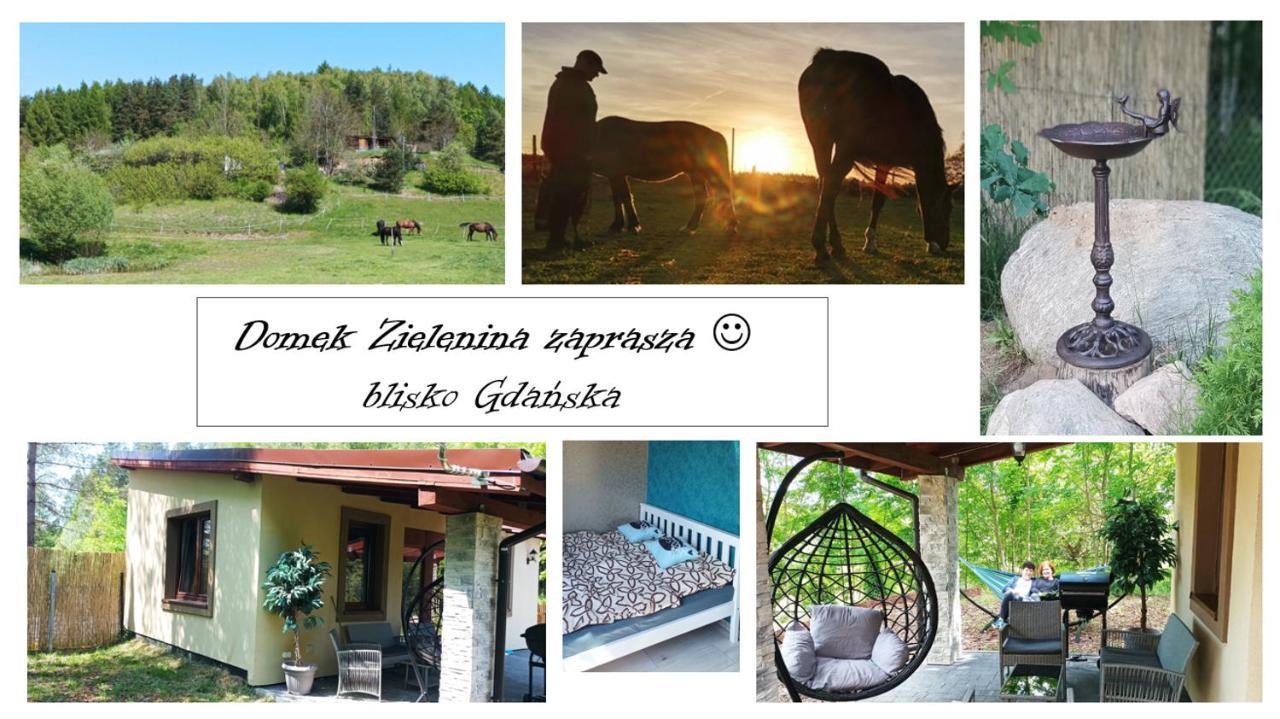 Domek Zielenina Mierzeszyn Exteriér fotografie