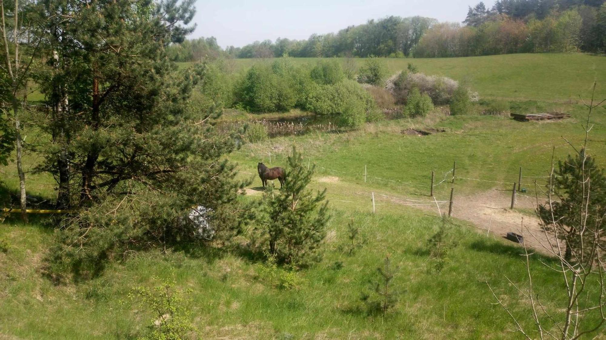 Domek Zielenina Mierzeszyn Exteriér fotografie